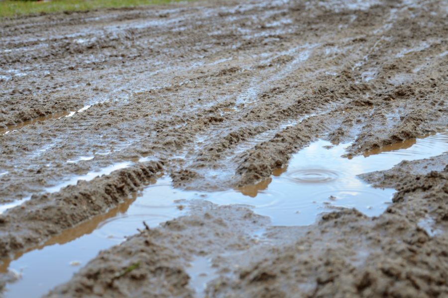 Never Ending Story: Sandpit Tensfeld